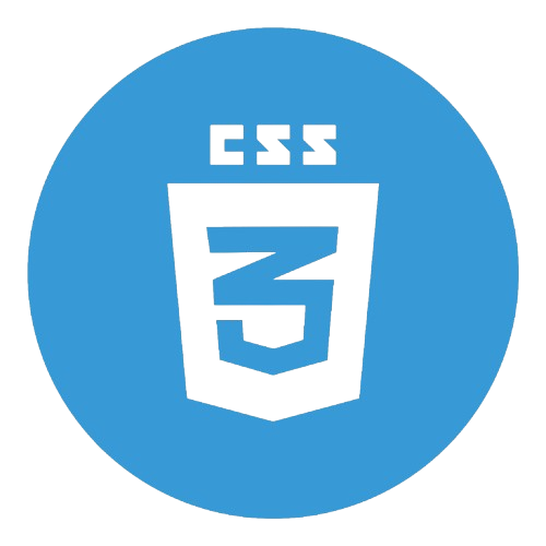 CSS Logo